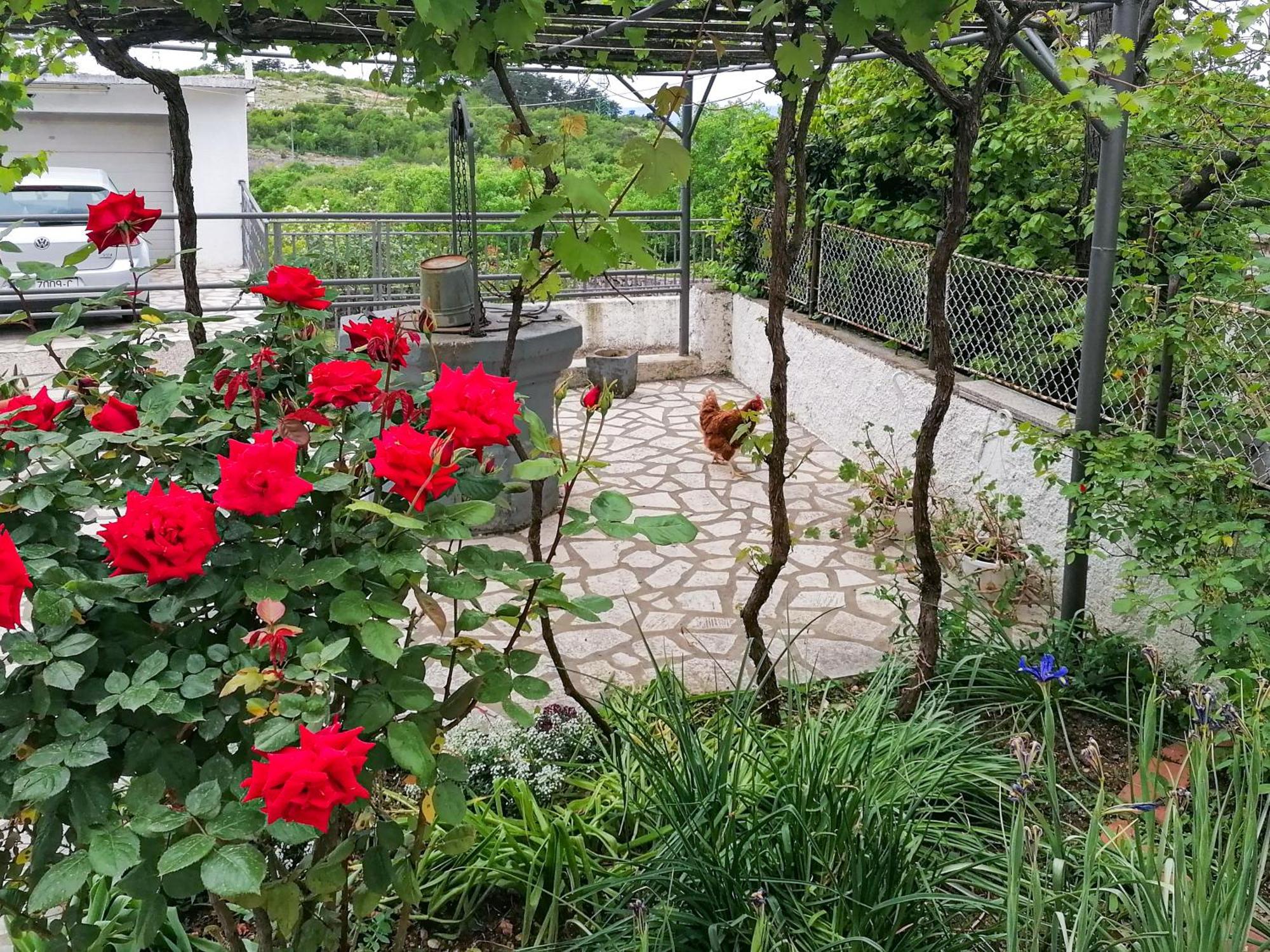 Apartman Lavanda Sa Bazenom I Okucnicom 4* Hreljin Экстерьер фото